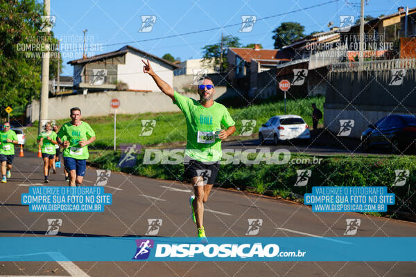 Vale Verde Run 2024