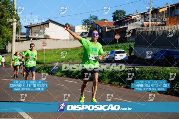 Vale Verde Run 2024