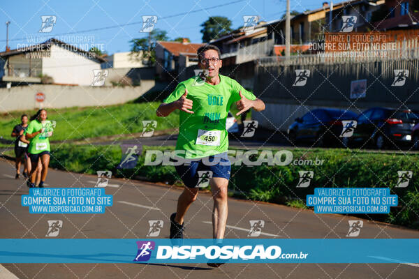 Vale Verde Run 2024