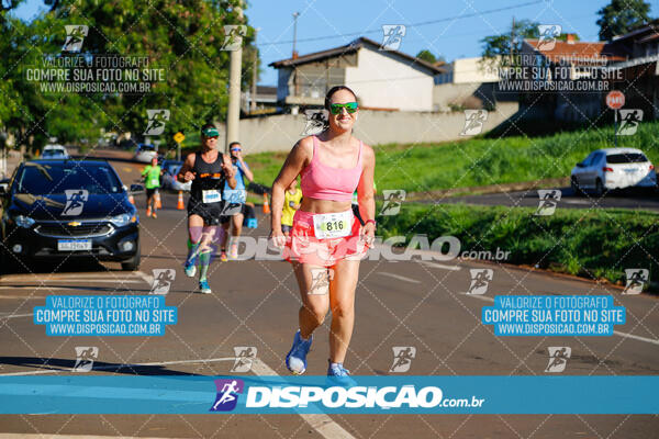 Vale Verde Run 2024