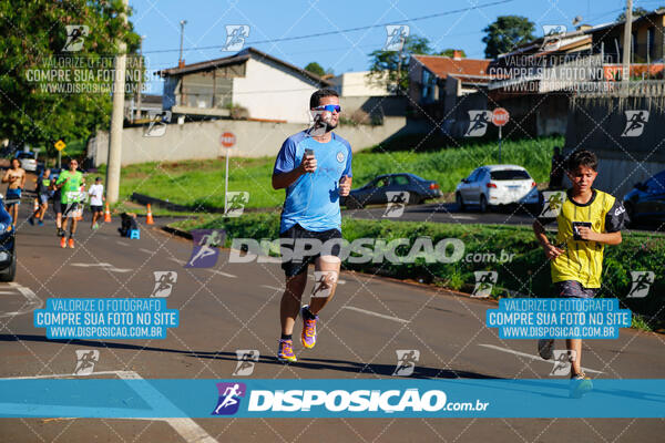 Vale Verde Run 2024