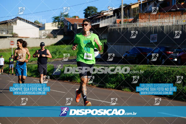 Vale Verde Run 2024