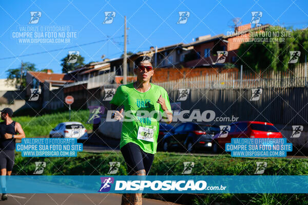 Vale Verde Run 2024