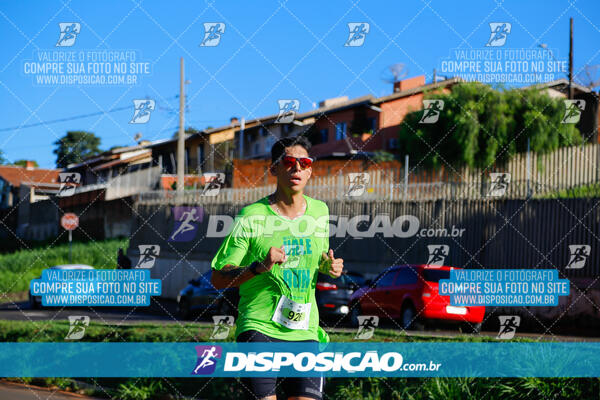 Vale Verde Run 2024