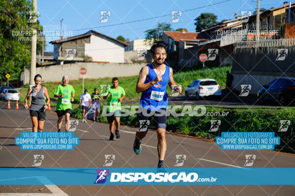 Vale Verde Run 2024