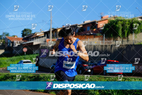 Vale Verde Run 2024