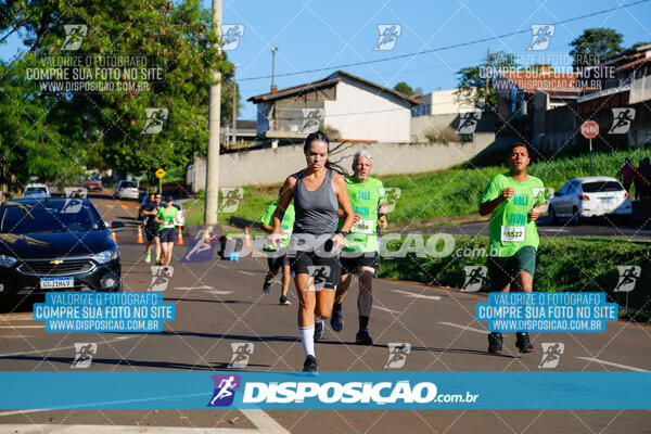 Vale Verde Run 2024