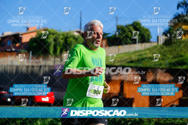 Vale Verde Run 2024