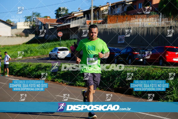 Vale Verde Run 2024