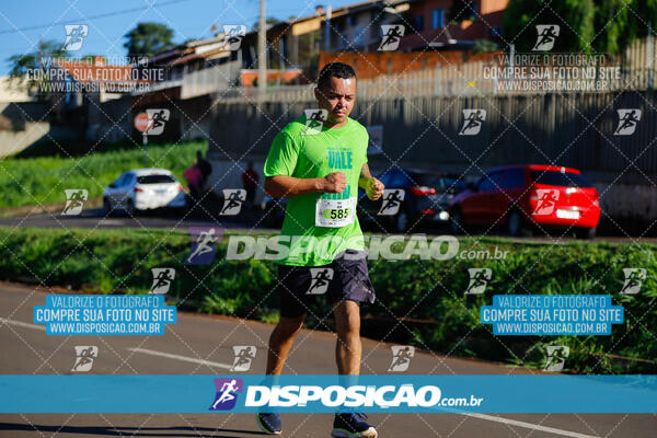 Vale Verde Run 2024