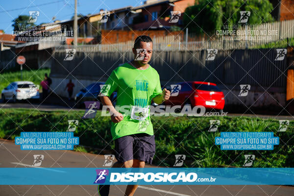 Vale Verde Run 2024