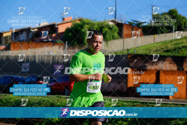 Vale Verde Run 2024