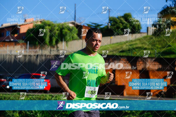 Vale Verde Run 2024