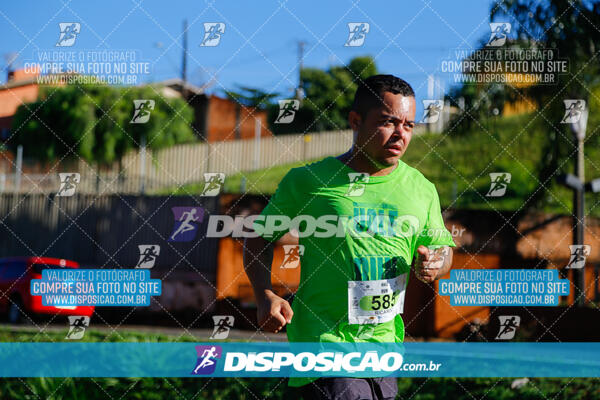 Vale Verde Run 2024