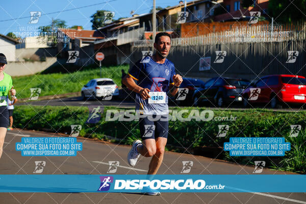 Vale Verde Run 2024