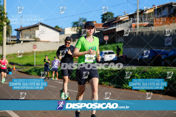 Vale Verde Run 2024