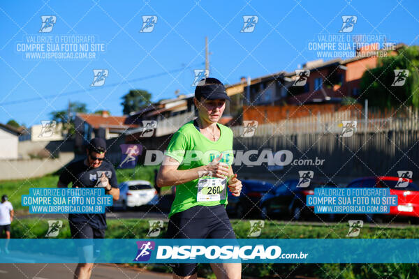 Vale Verde Run 2024