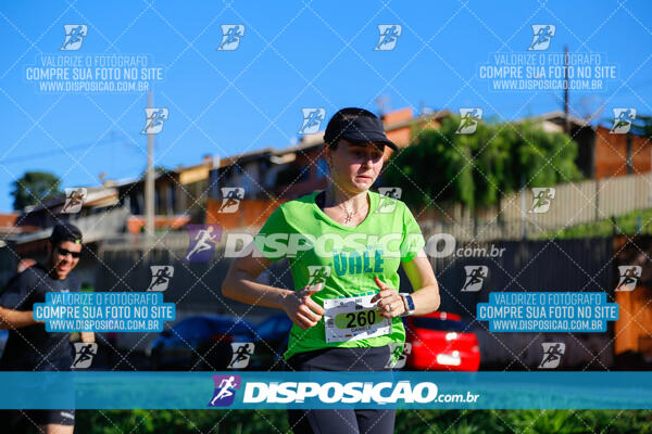 Vale Verde Run 2024