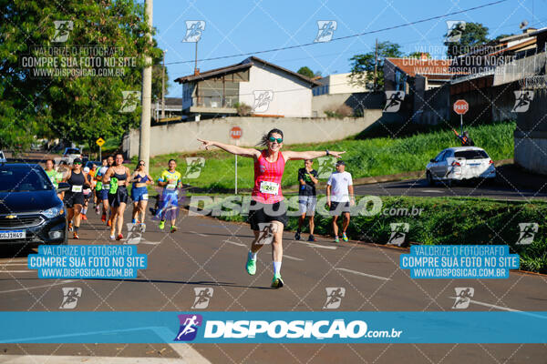 Vale Verde Run 2024