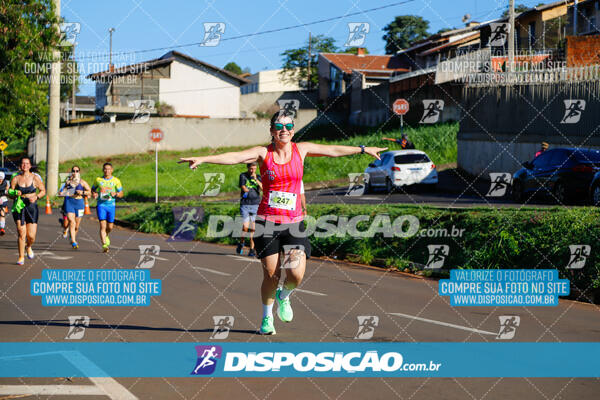 Vale Verde Run 2024