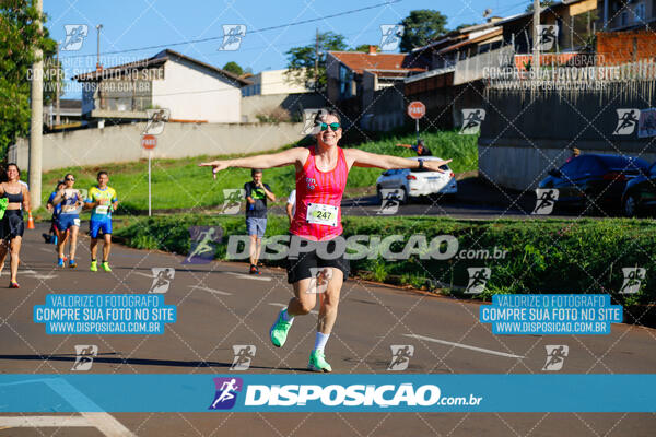 Vale Verde Run 2024