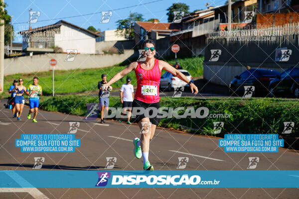 Vale Verde Run 2024