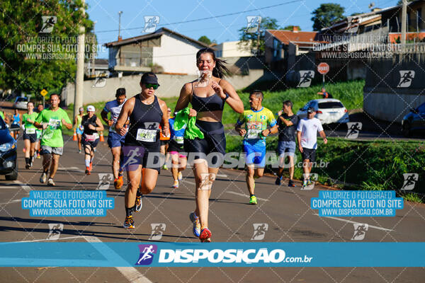 Vale Verde Run 2024