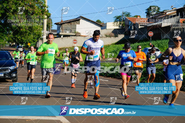 Vale Verde Run 2024