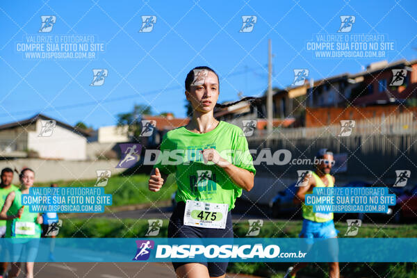 Vale Verde Run 2024