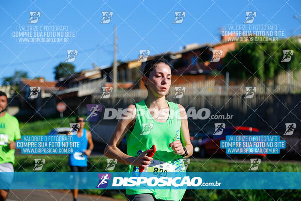 Vale Verde Run 2024