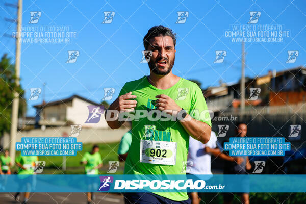 Vale Verde Run 2024