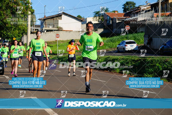 Vale Verde Run 2024