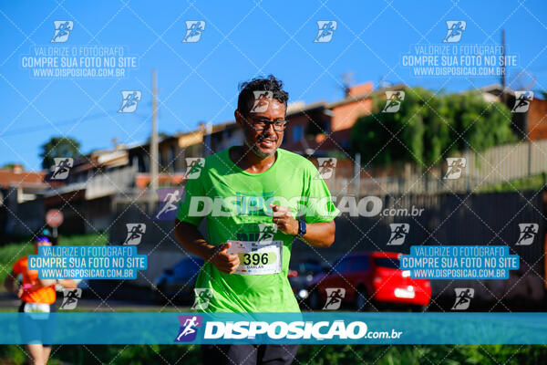 Vale Verde Run 2024