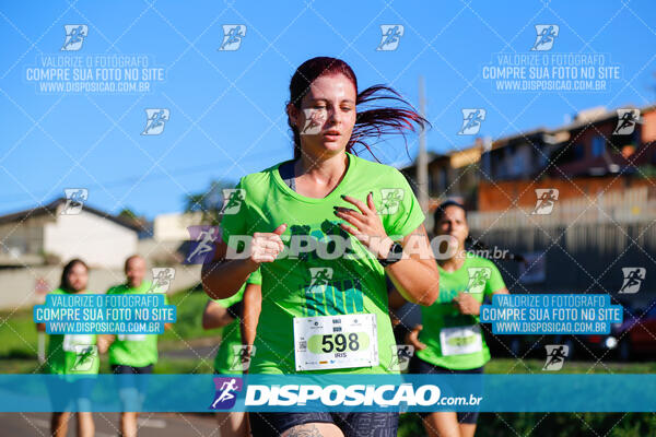 Vale Verde Run 2024