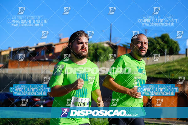 Vale Verde Run 2024