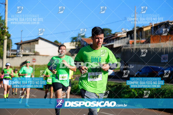 Vale Verde Run 2024