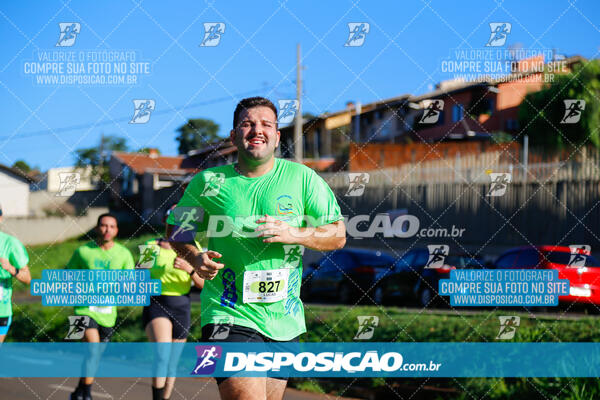 Vale Verde Run 2024