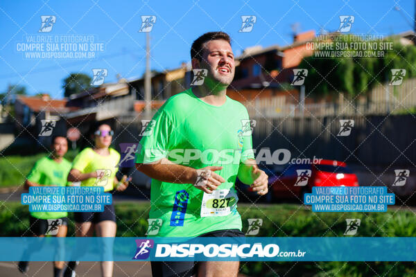 Vale Verde Run 2024