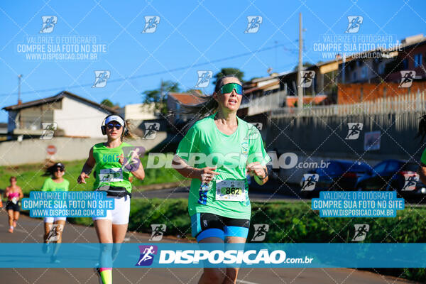 Vale Verde Run 2024