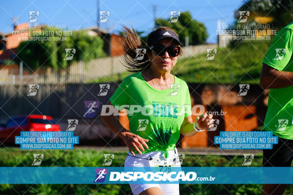 Vale Verde Run 2024