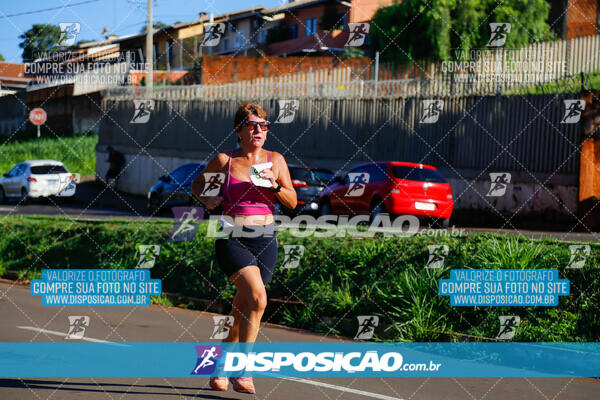 Vale Verde Run 2024