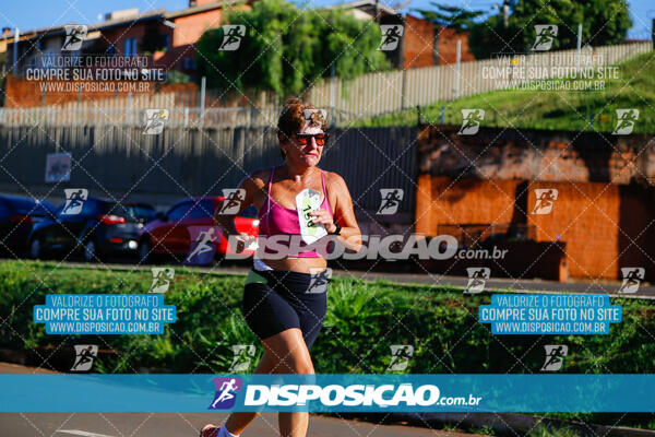 Vale Verde Run 2024