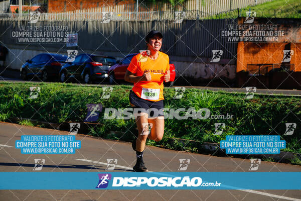 Vale Verde Run 2024