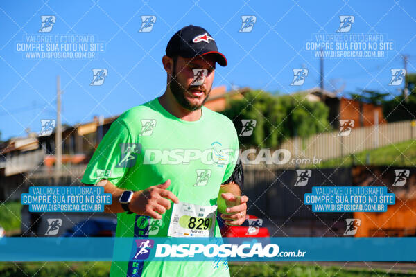 Vale Verde Run 2024