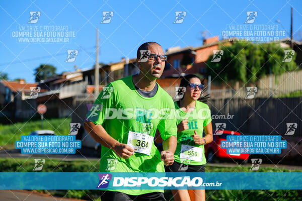 Vale Verde Run 2024