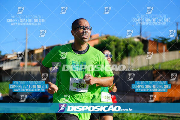 Vale Verde Run 2024