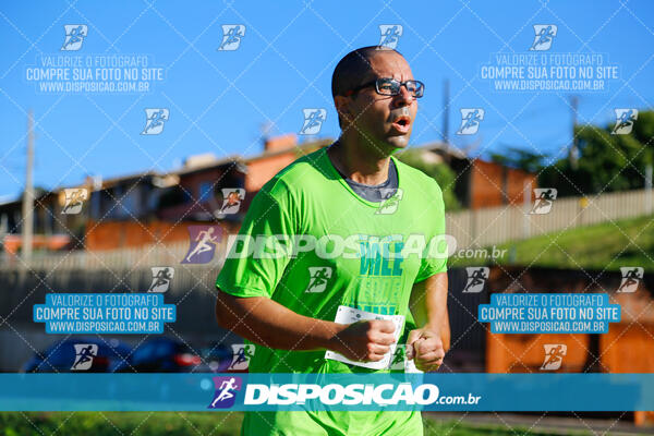 Vale Verde Run 2024