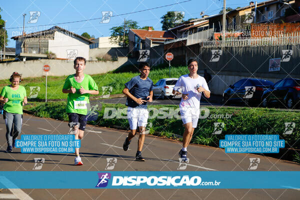 Vale Verde Run 2024