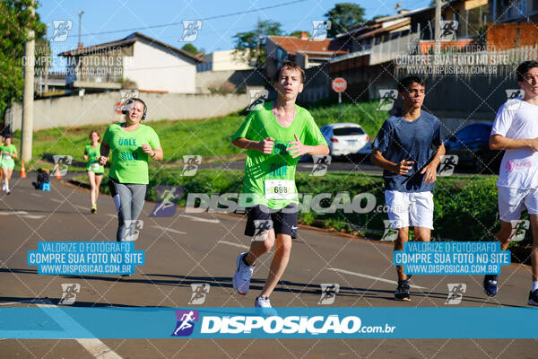 Vale Verde Run 2024