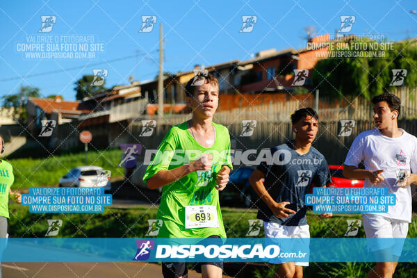 Vale Verde Run 2024